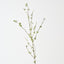Snow Willow Spray (Set of 12)