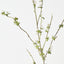 Snow Willow Spray (Set of 12)