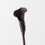 Calla Lily (Set of 12)