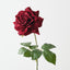 Mireille Rose (Set of 12)