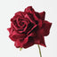 Mireille Rose (Set of 12)