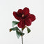 Magnolia (Set of 6)