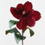 Magnolia (Set of 6)