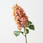 Cone Hydrangea (Set of 6)