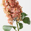 Cone Hydrangea (Set of 6)