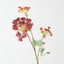 Angelica Spray (Set of 12)