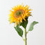 Sunflower (Set of 12)