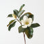 Grandiflora Magnolia Bud Spray (Set of 12)
