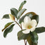 Grandiflora Magnolia Bud Spray (Set of 12)