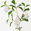 Mandevilla Spray (Set of 12)