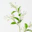 Night Jasmine Spray (Set of 12)