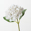 Hydrangea (Set of 12)