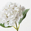 Hydrangea (Set of 12)