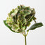 Hydrangea (Set of 12)