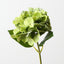 Hydrangea (Set of 12)