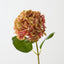 Hydrangea (Set of 12 )