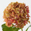 Hydrangea (Set of 12 )