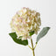 Hydrangea (Set of 12)