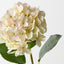 Hydrangea (Set of 12)