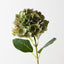Hydrangea (Set of 12)