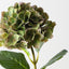 Hydrangea (Set of 12)
