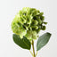 Hydrangea (Set of 12)