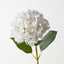 Hydrangea (Set of 12)