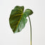 Taro Leaf (Set of 12)