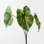 Caladium Leaf Bush (Set of 6)