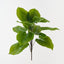 Spathiphyllum Leaf Bush (Set of 6)