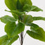 Spathiphyllum Leaf Bush (Set of 6)