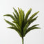 Foxtail Pine Bush (Set of 12)