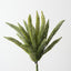 Foxtail Pine Bush (Set of 12)
