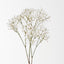 Babys Breath Spray (Set of 12)