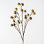 Eucalyptus Pod Spray (Set of 6)