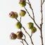 Eucalyptus Pod Spray (Set of 6)