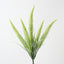 Foxtail Fern Bush (Set of 12)