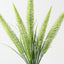 Foxtail Fern Bush (Set of 12)