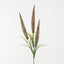 Foxtail Fern Spray (Set of 12)