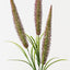 Foxtail Fern Spray (Set of 12)