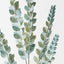Knife Leaf Spray (Set of 12)
