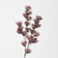 Thistle Spray (Set of 12)