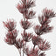 Thistle Spray (Set of 12)