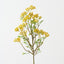 Osmanthus Spray (Set of 12)