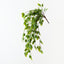 Ficus Leaf Hanging Bush (Set of 6)
