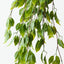 Ficus Leaf Hanging Bush (Set of 6)