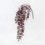 Acacia Leaf Hanging Bush (Set of 12)