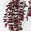 Acacia Leaf Hanging Bush (Set of 12)