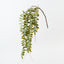 Acacia Leaf Hanging Bush (Set of 12)