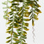 Acacia Leaf Hanging Bush (Set of 12)
